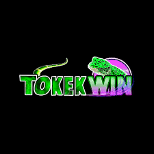 TOKEKWIN - Aplikasi Status & Stiker Terbaik untuk Sosial dan Chat